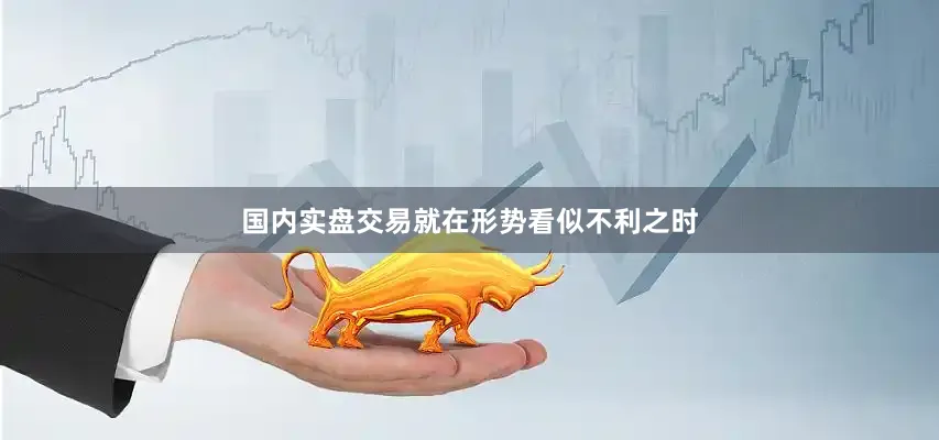 国内实盘交易就在形势看似不利之时