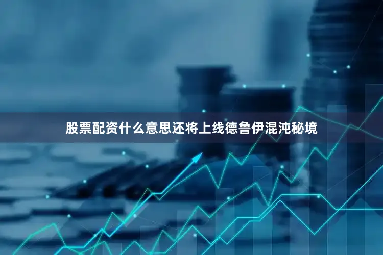 股票配资什么意思还将上线德鲁伊混沌秘境