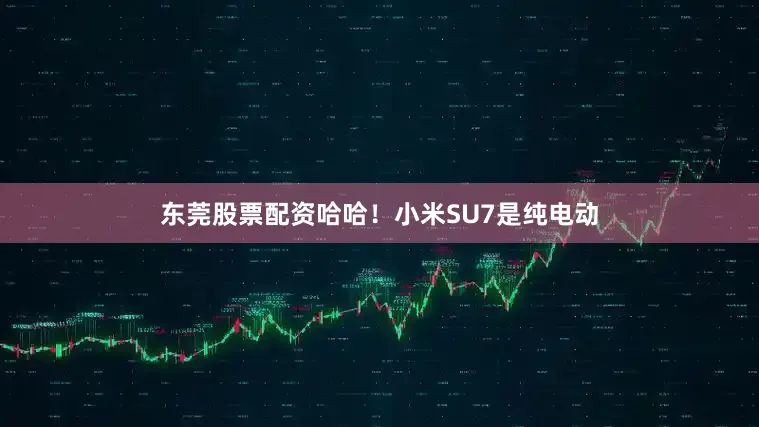 东莞股票配资哈哈！小米SU7是纯电动