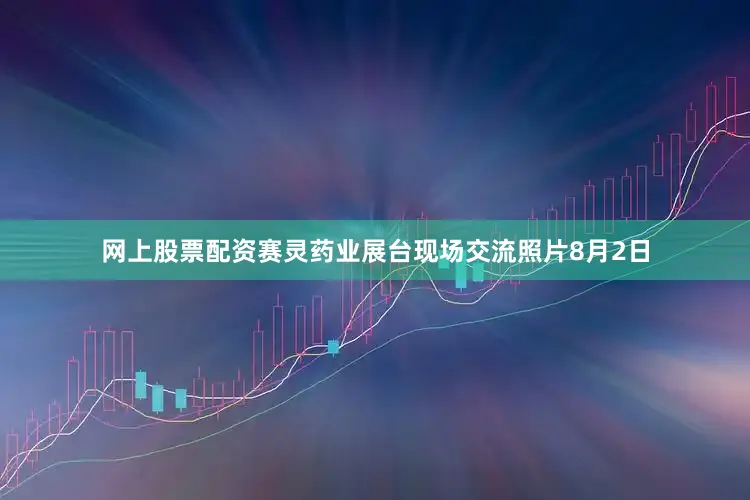 网上股票配资赛灵药业展台现场交流照片8月2日